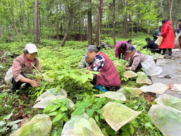 1743489897501078762.jpg 2.jpg