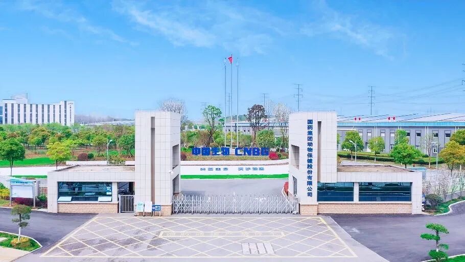 1776740488631089154.jpg 2.jpg